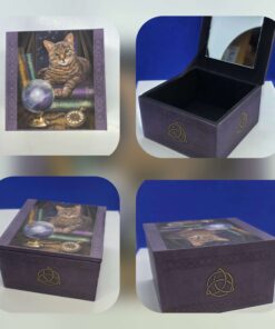 Peegliga karp kassiga Ennustaja