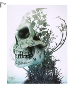Skull canvas pictures