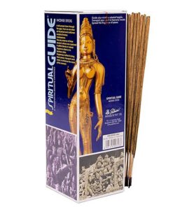 Viirukid Spiritual Guide 10 tk.