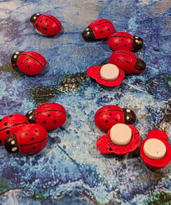 Wooden ladybugs with tape 10 tk.