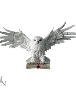 Valge kakuga seinakuju