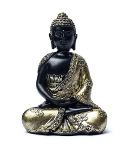 Kuldse Lootose rüüga Tai Buddha meditatsioonis