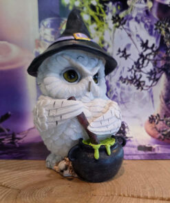 White owl and couldron