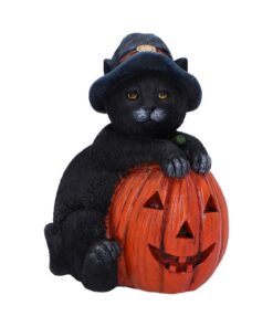 Must kass Halloweeni kõrvitsaga