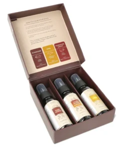 Aromafume mini mist set Sacred Resins