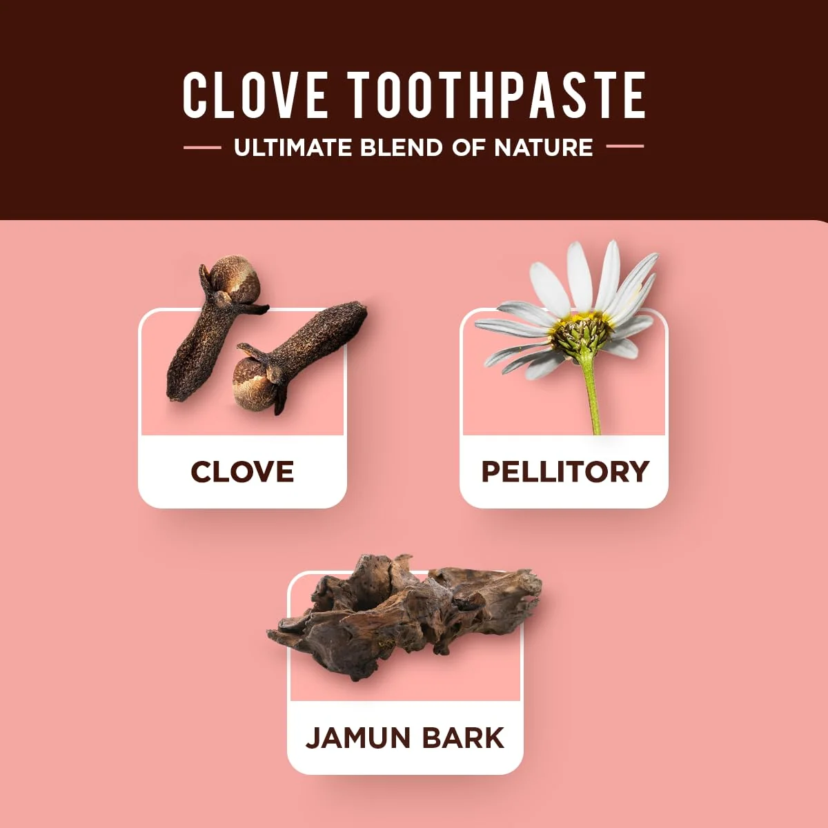 dabur clove 5