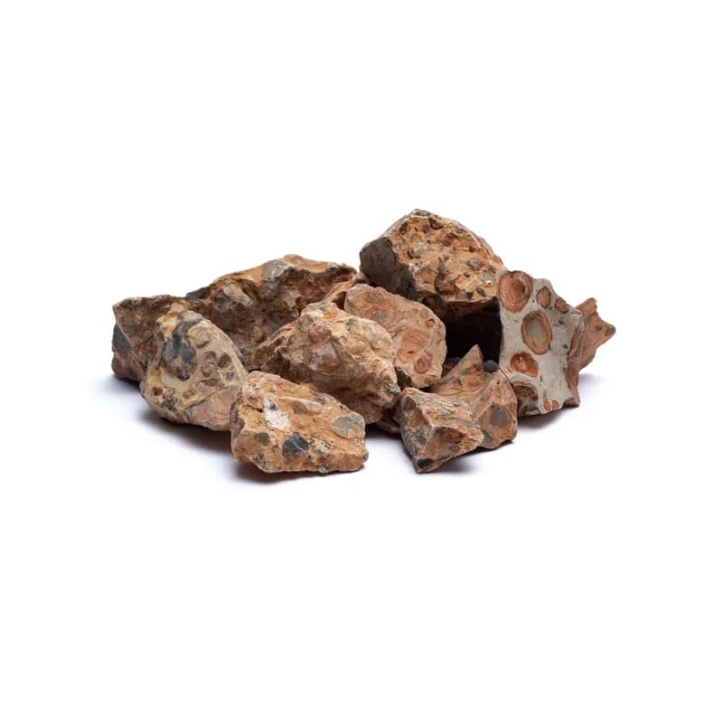 leopardiit 2