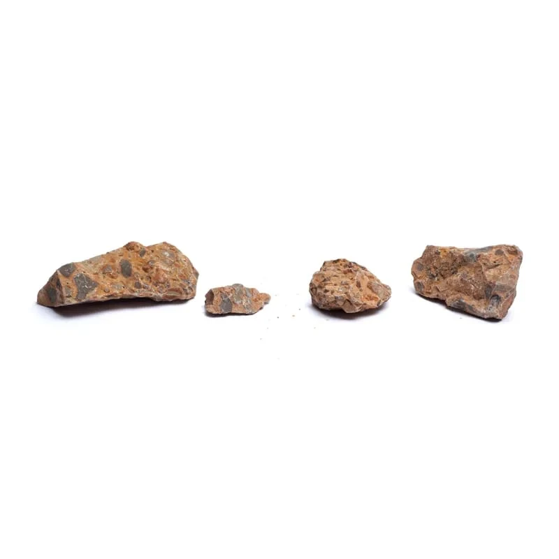 leopardiit 22