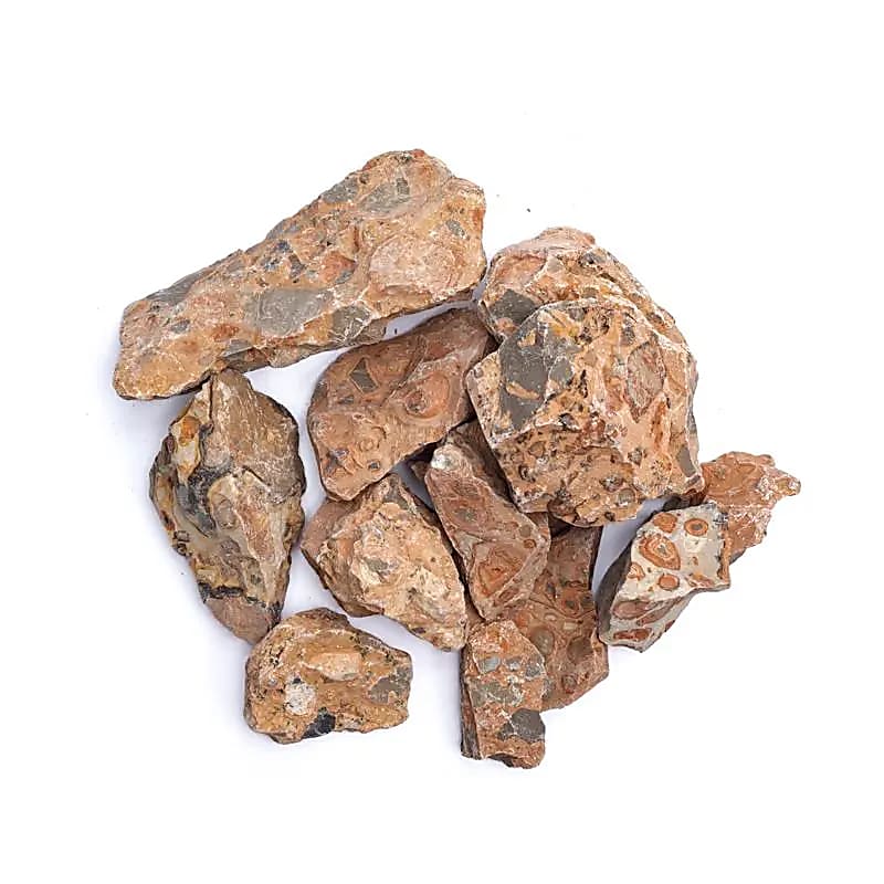 leopardiit